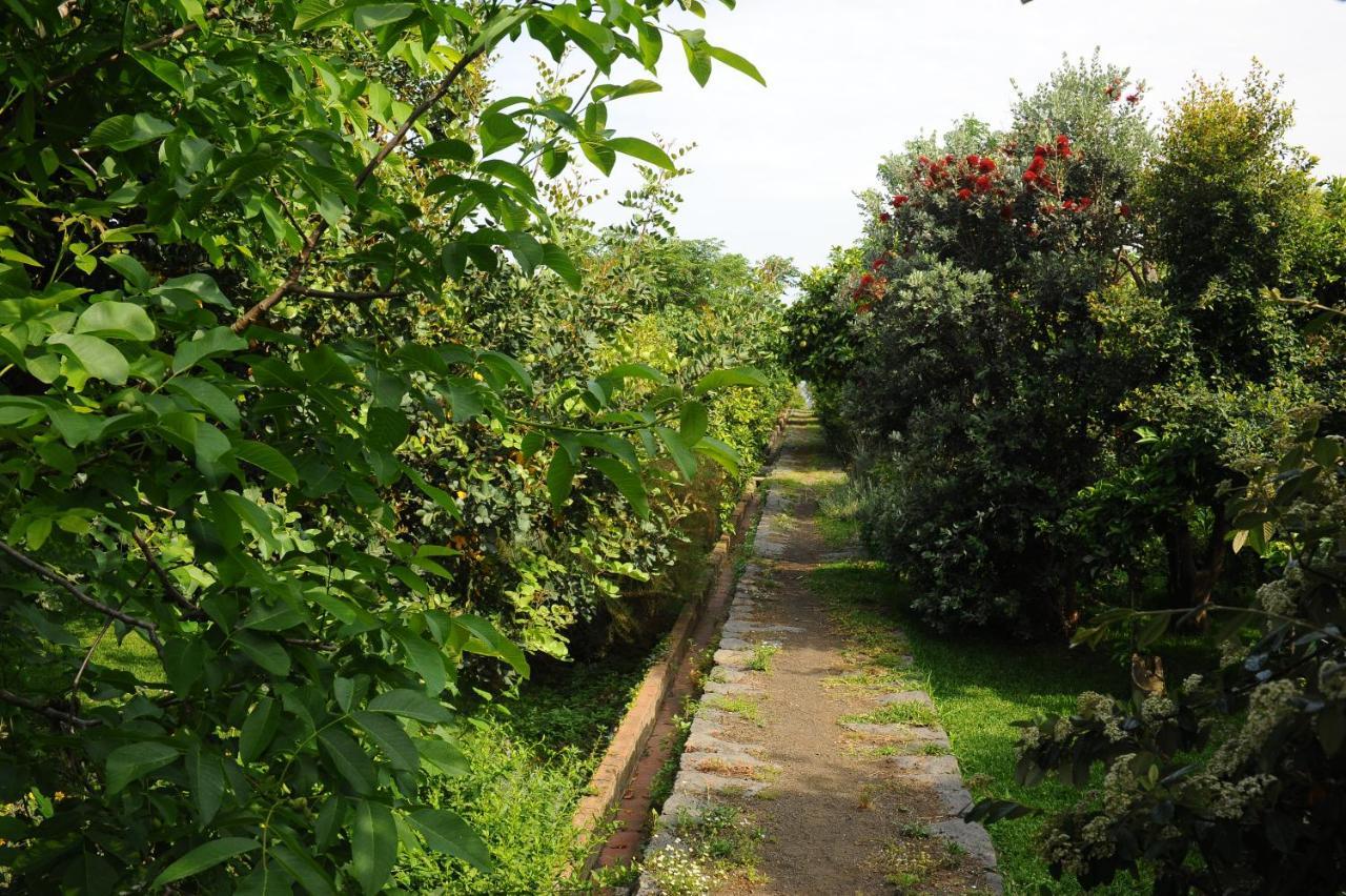 Tenuta Santa Tecla Acireale Ngoại thất bức ảnh